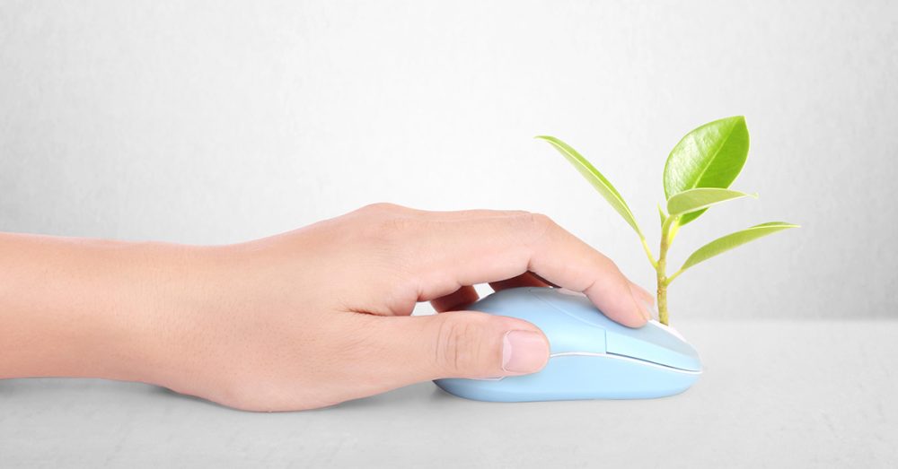 hands using a mouse with a plant